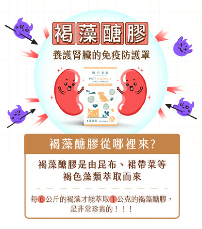 《預購》【歸毛家族】寵物保健品－護腎寶 30粒膠囊/罐