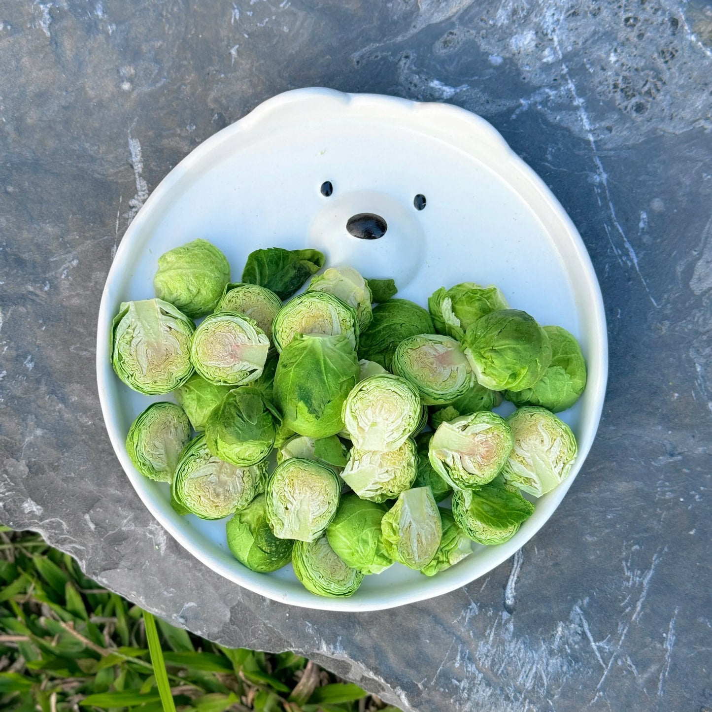 凍乾零食- 椰菜仔